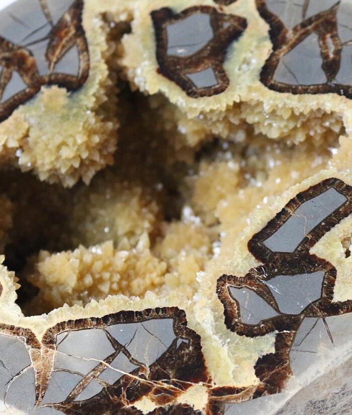Septarian