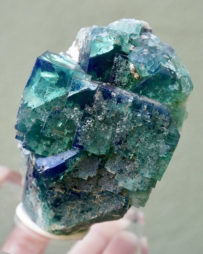 truffle pig fluorite