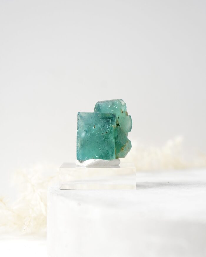Hollywell Fluorite