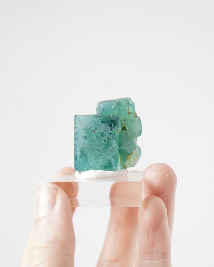Hollywell Fluorite