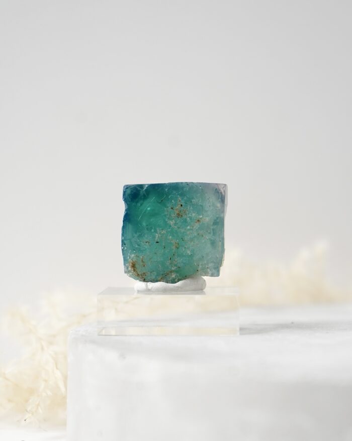 Hollywell Fluorite
