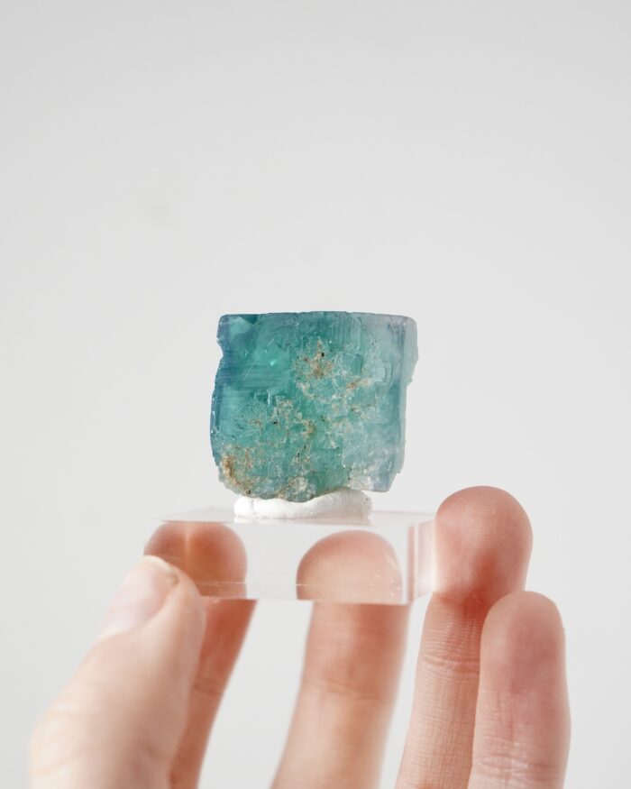 Hollywell Fluorite