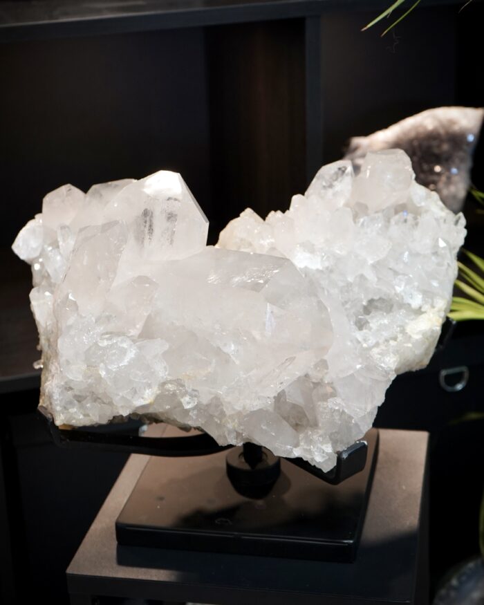 Japan law twin quartz