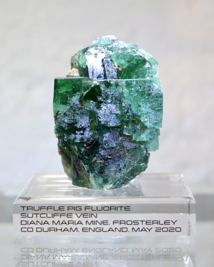 truffle pig fluorite