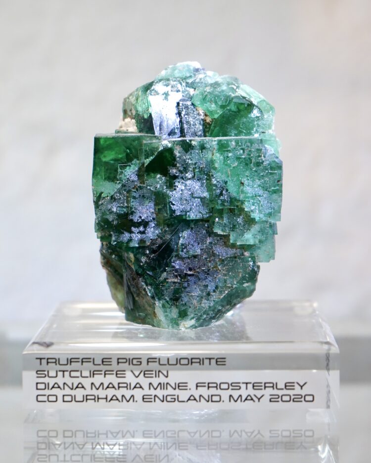 truffle pig fluorite