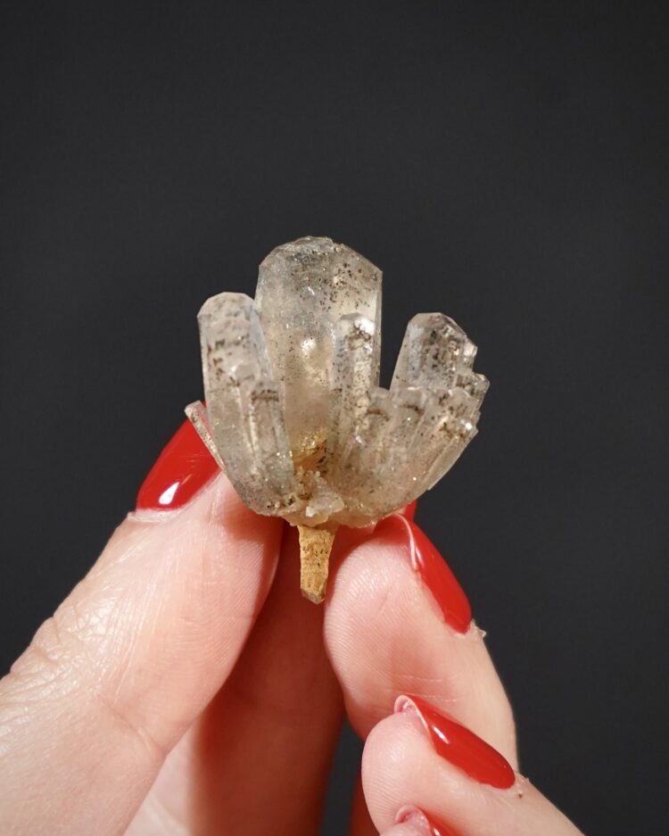 'Dragon's Blood Tree' Calcite