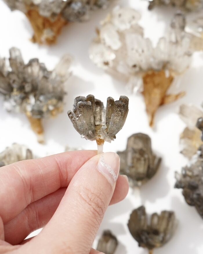 'Dragon's Blood Tree' Calcite