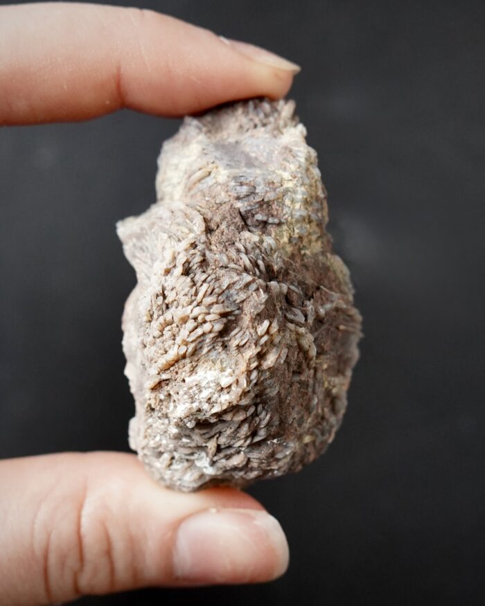 Agate after Baryte Pseudomorph Geode
