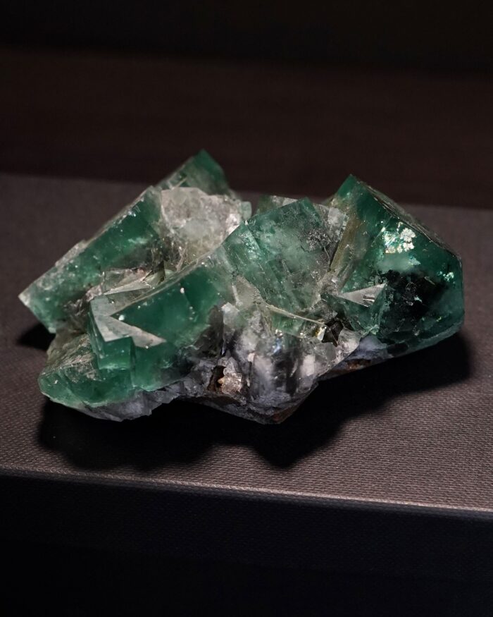 truffle pig pocket fluorite