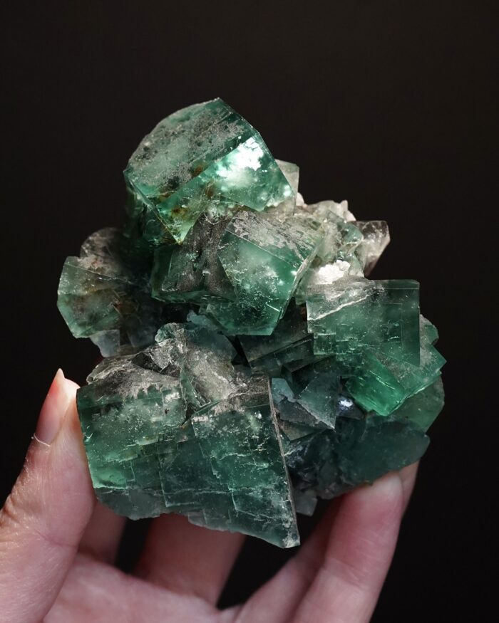 truffle pig pocket fluorite