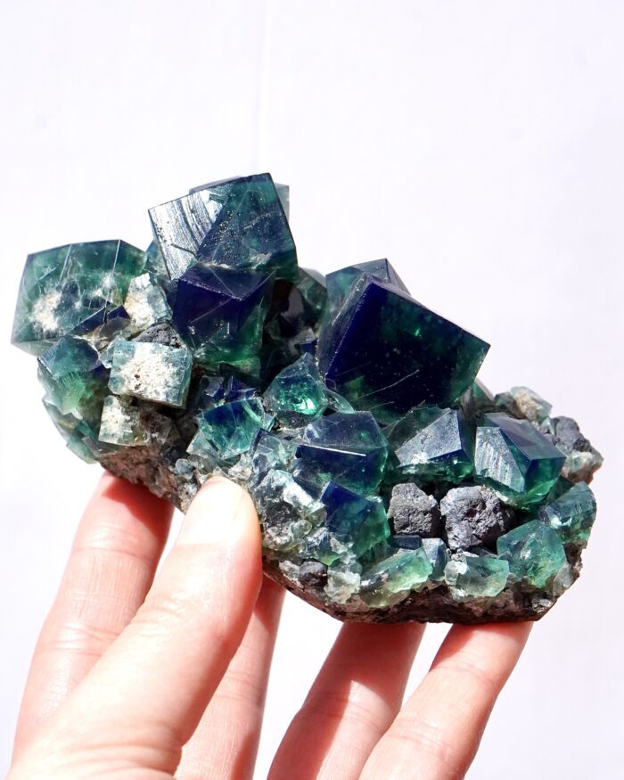 pyjama pocket fluorite
