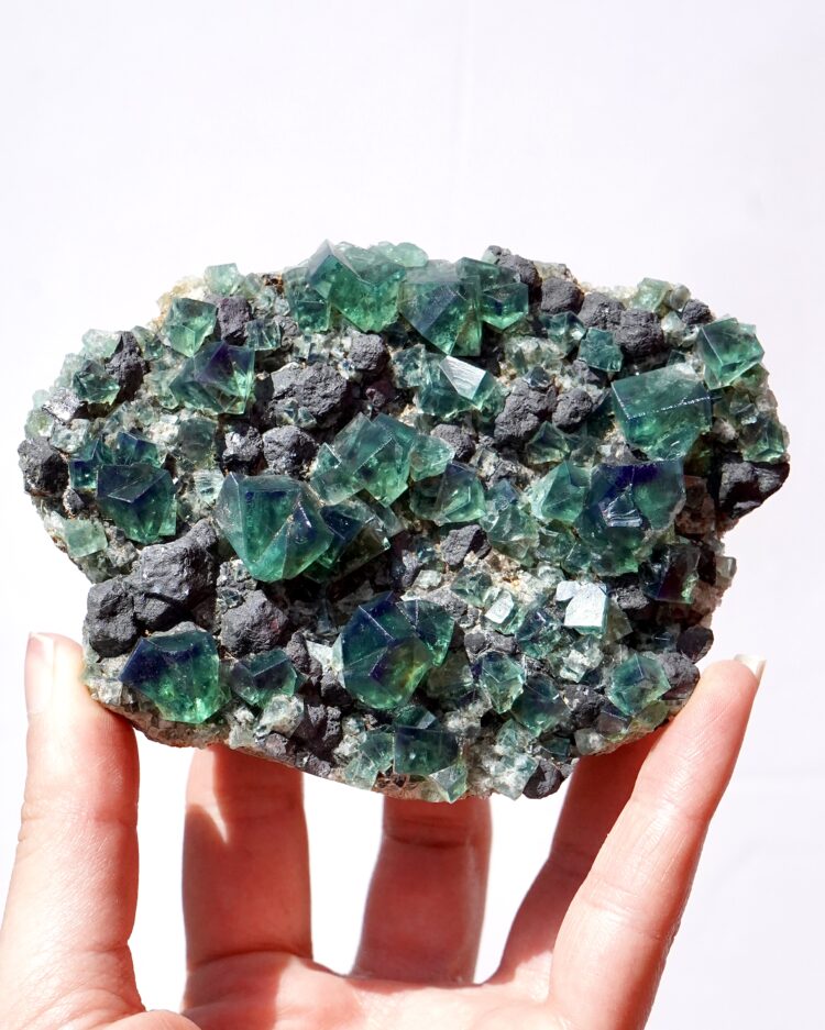 pyjama pocket fluorite