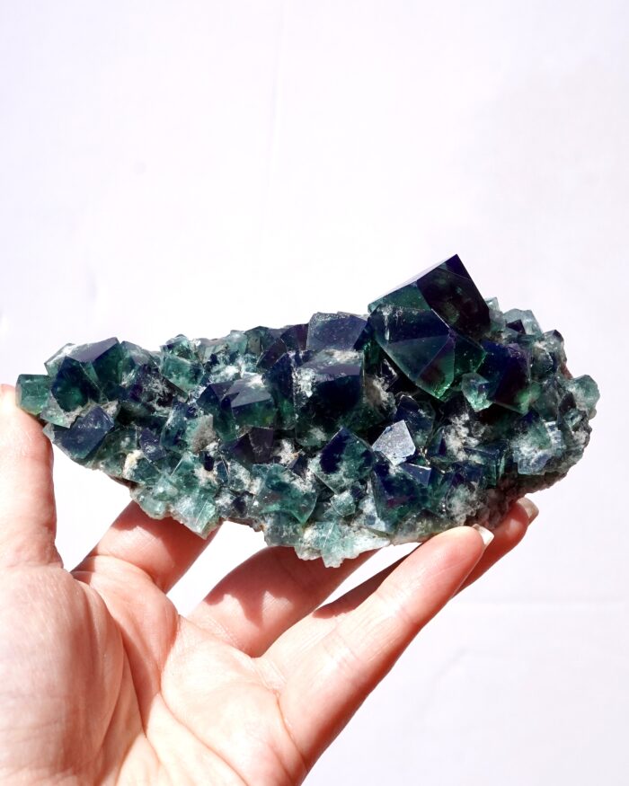 pyjama pocket fluorite