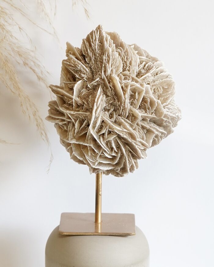 DESERT ROSE