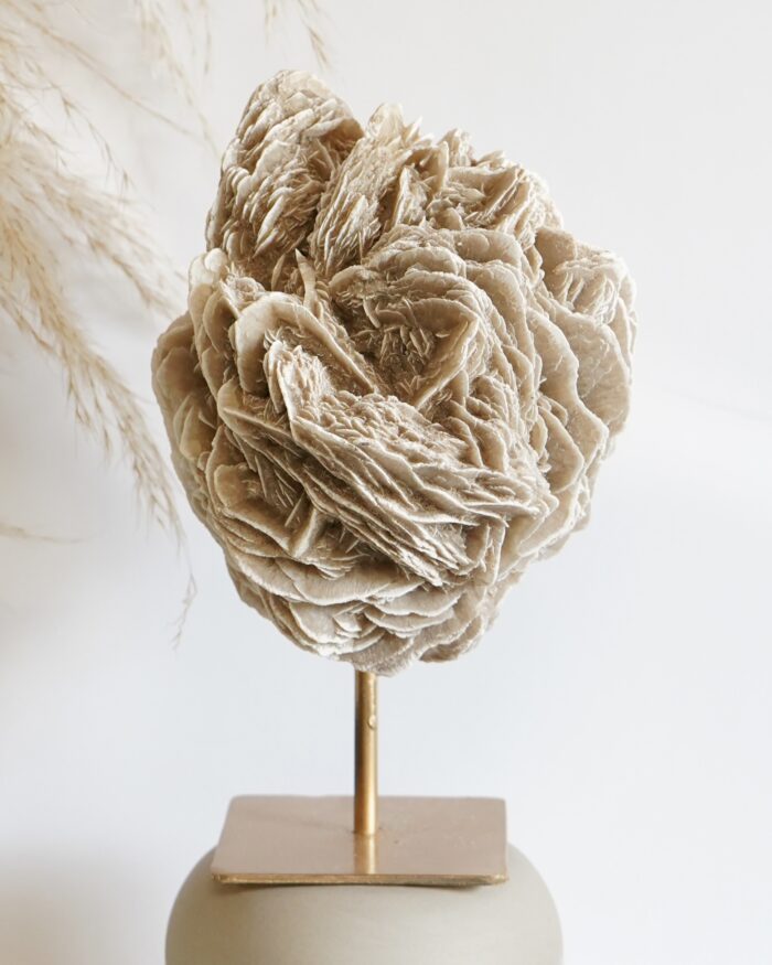 DESERT ROSE