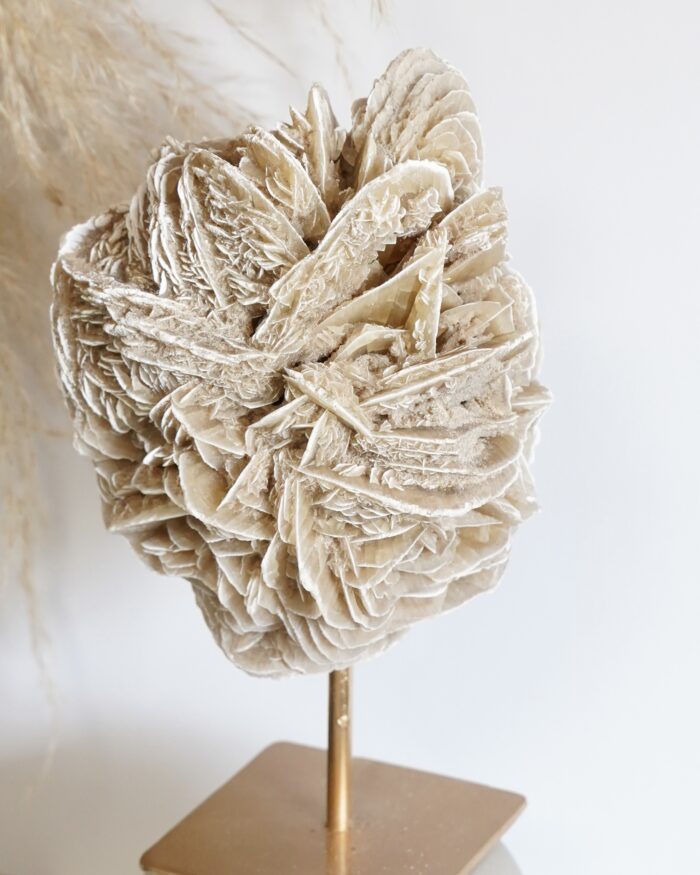 DESERT ROSE