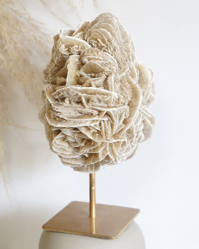 DESERT ROSE