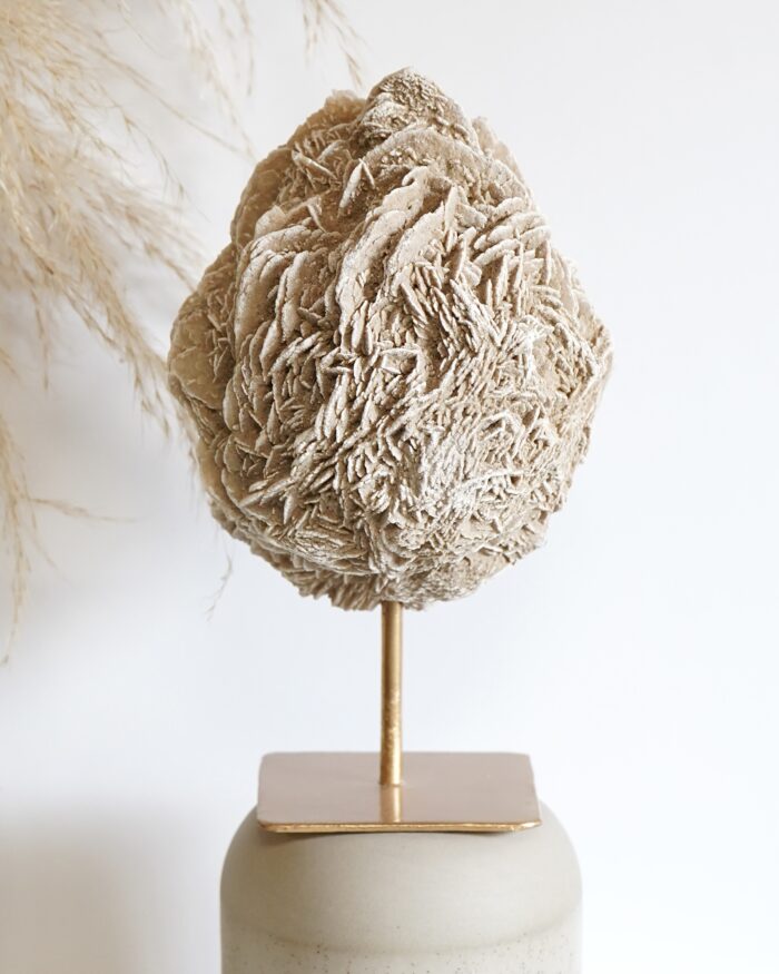 DESERT ROSE