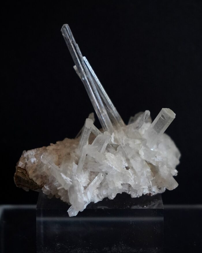 LA PLATOSA SELENITE