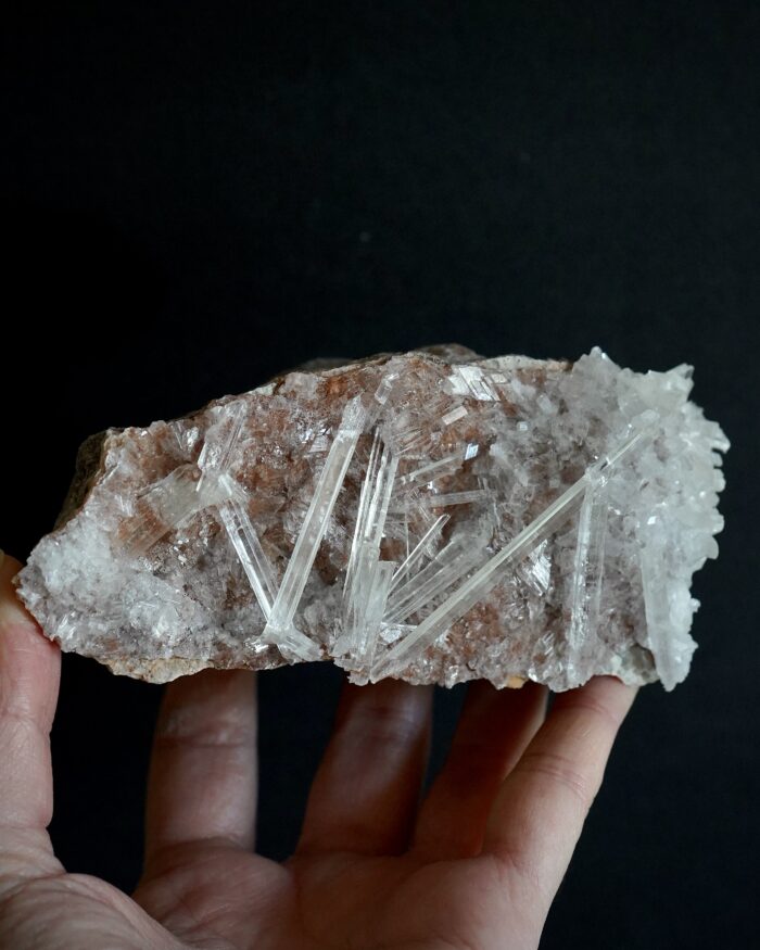 LA PLATOSA SELENITE