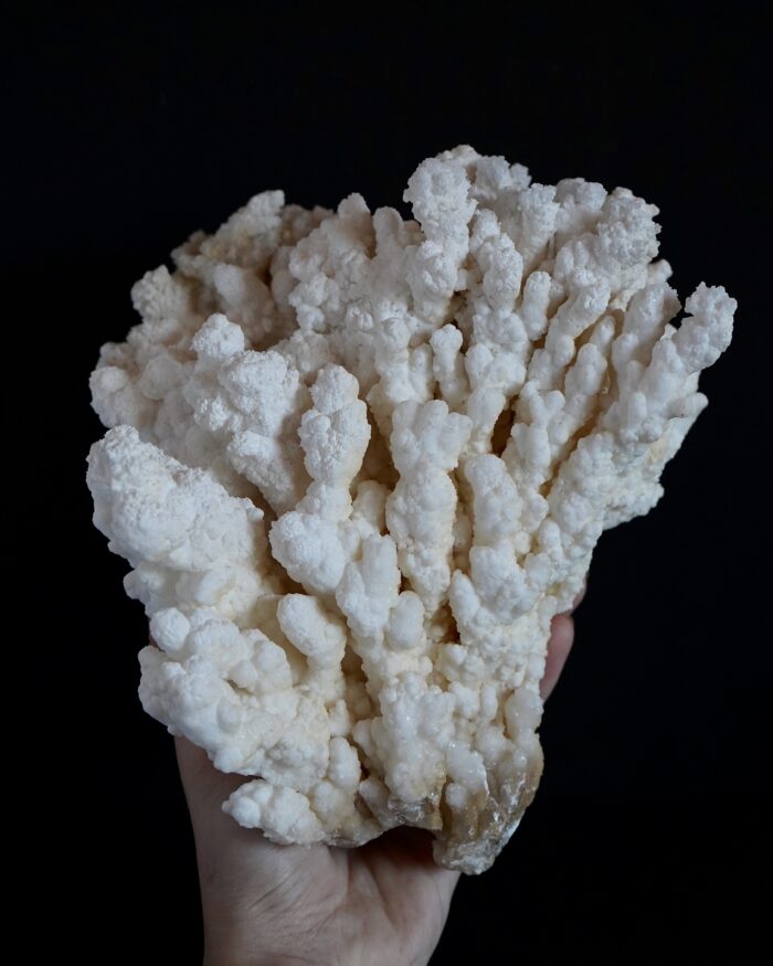ARAGONITE