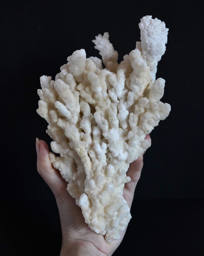 ARAGONITE