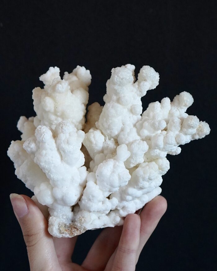 ARAGONITE