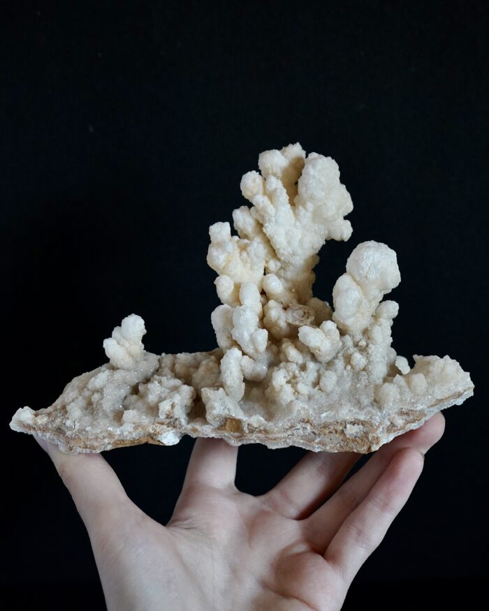 ARAGONITE