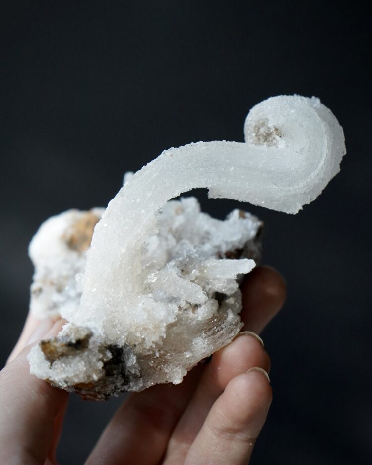 Ram's Horn Selenite