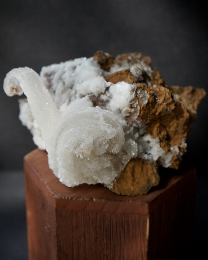 Ram's Horn Selenite