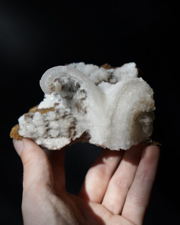 Ram's Horn Selenite
