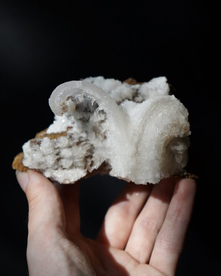 Ram's Horn Selenite