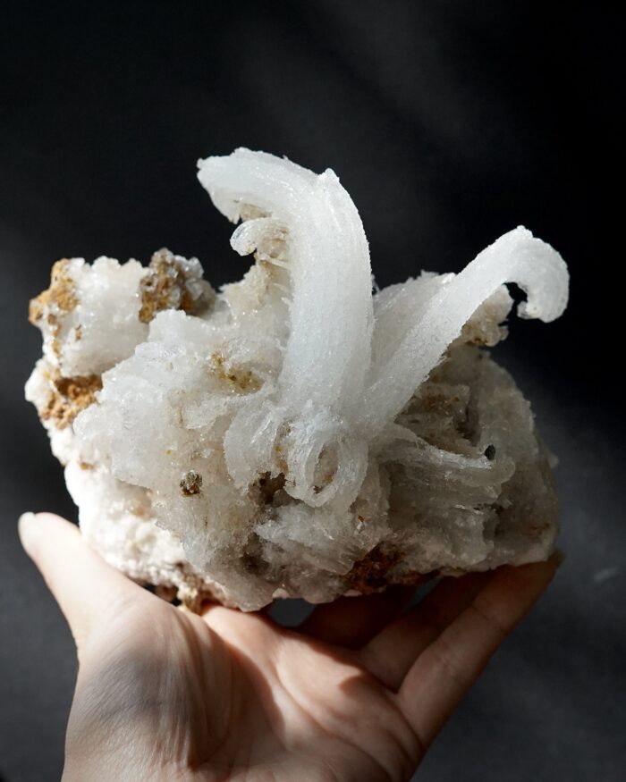 Ram's Horn Selenite