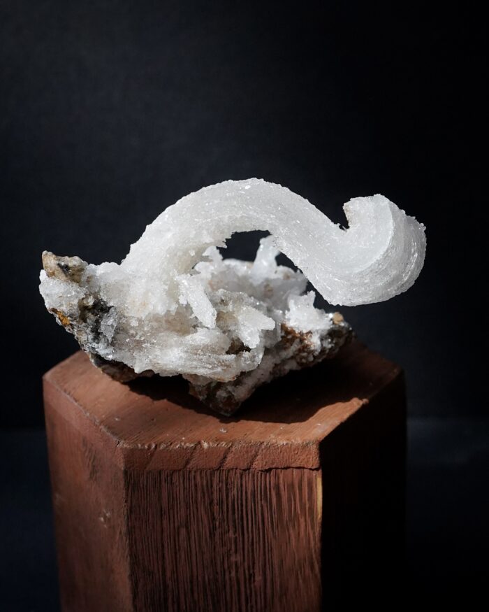 Ram's Horn Selenite