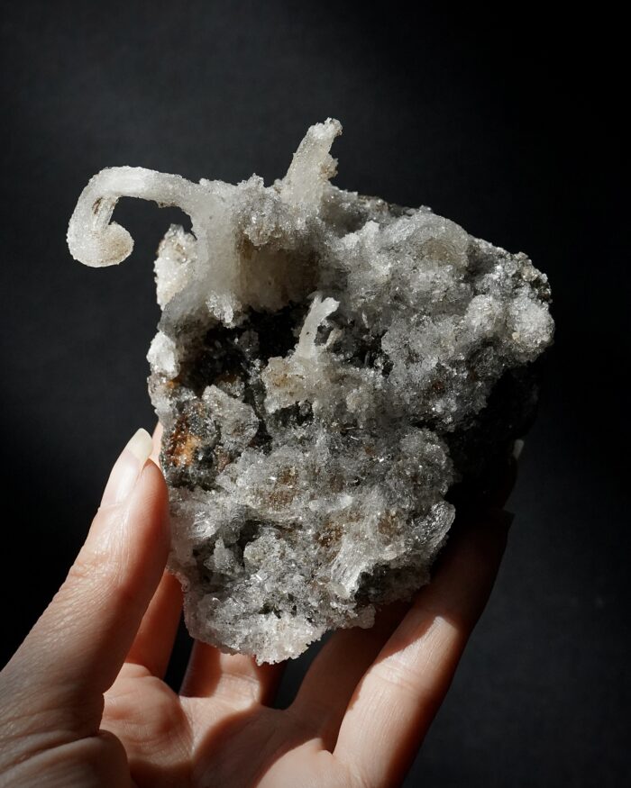Ram's Horn Selenite