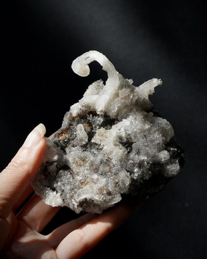 Ram's Horn Selenite