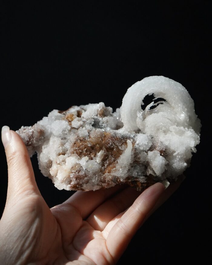 Ram's Horn Selenite
