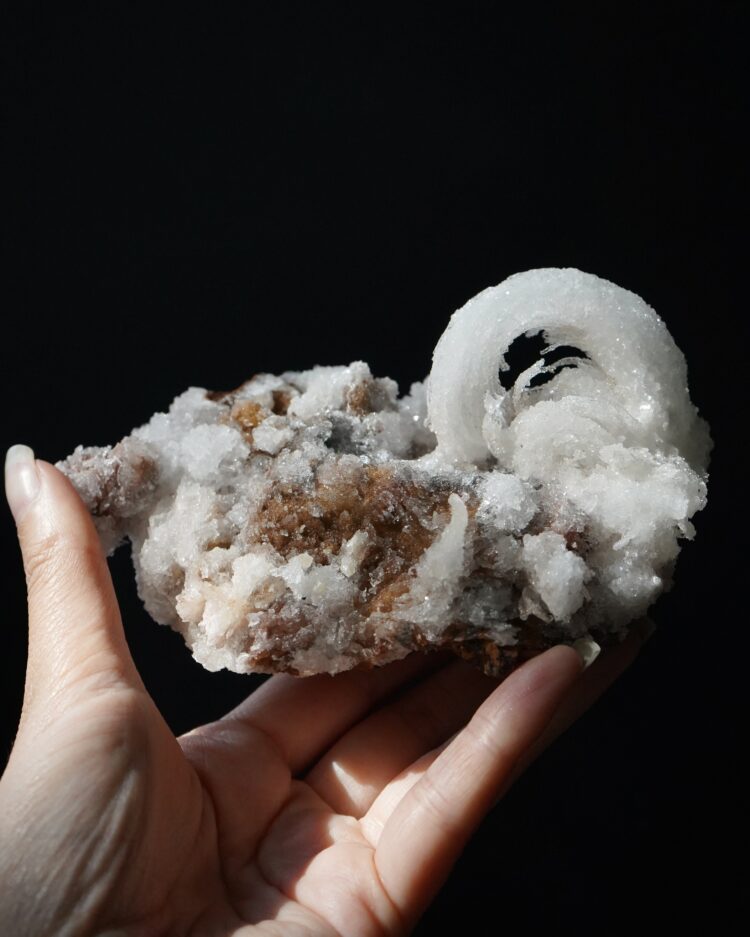 Ram's Horn Selenite